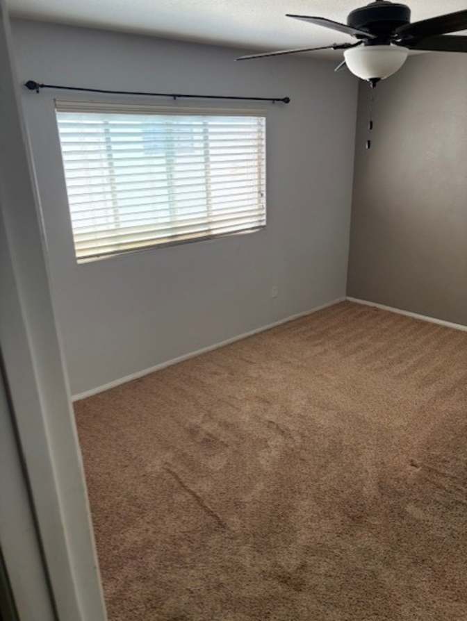 Tara's room