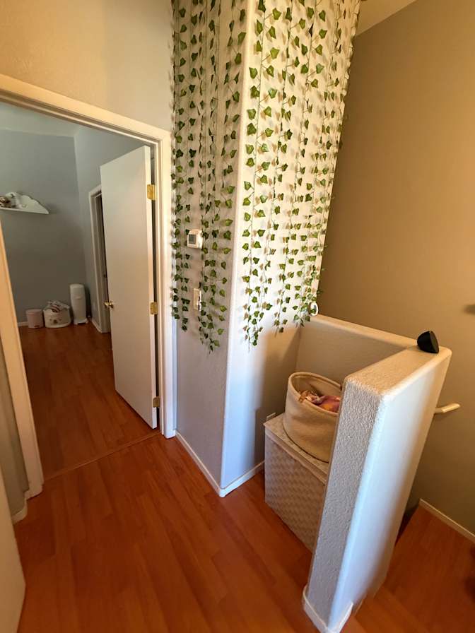 Brandon's room