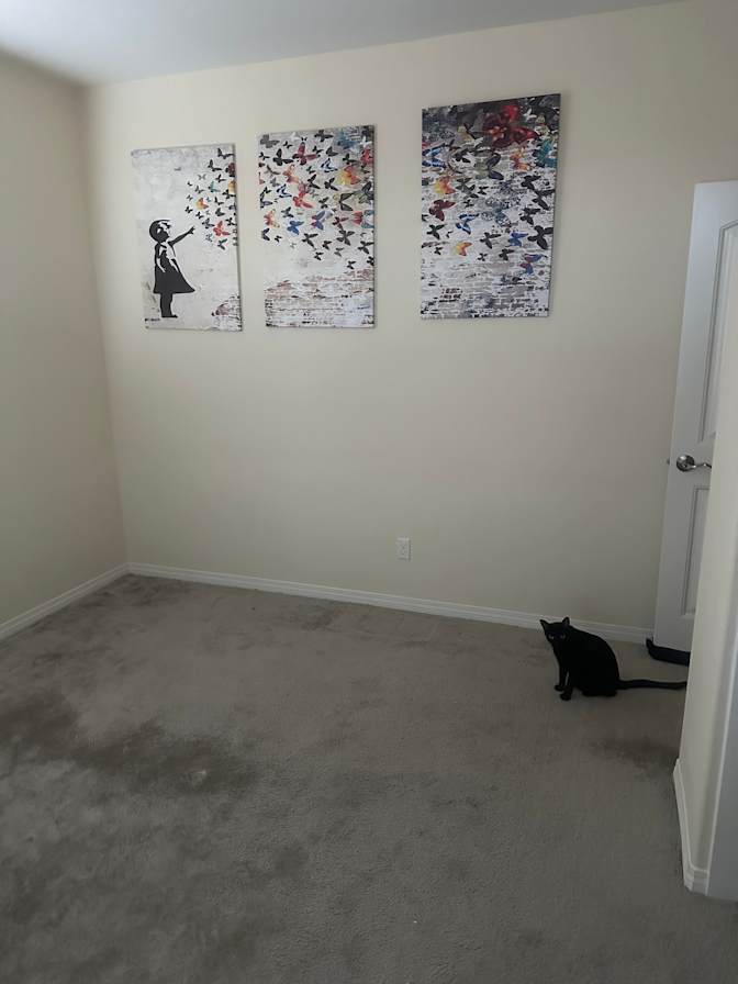 Joel's room