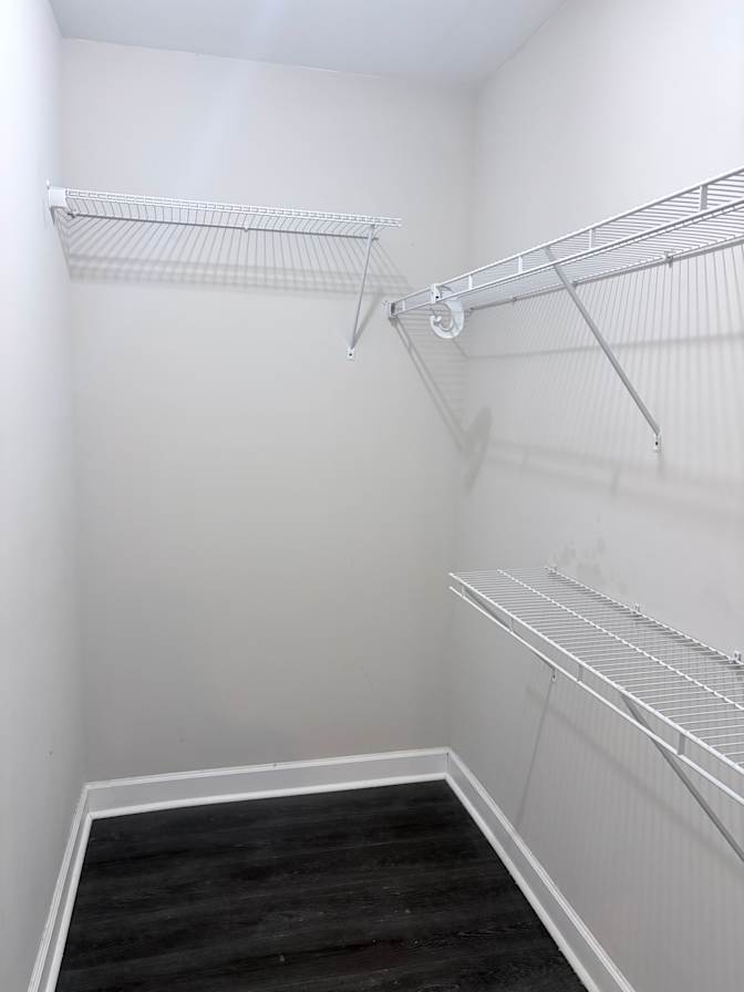 Alex's room