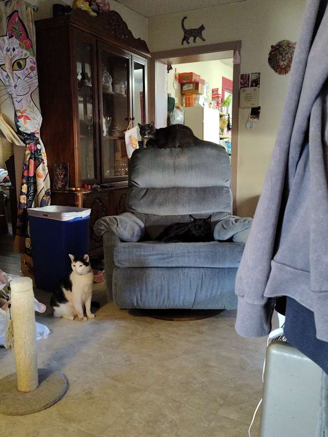 Michelle's room