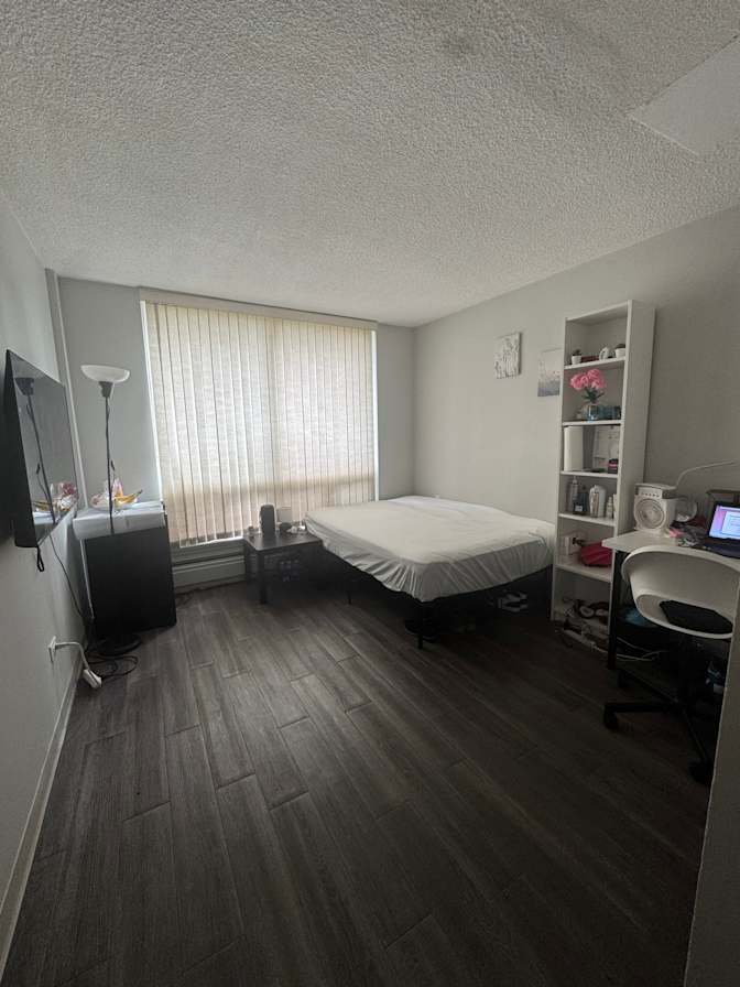 Themy's room