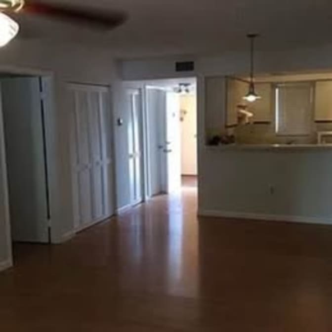 Sofia's room