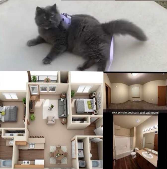 Lux's room