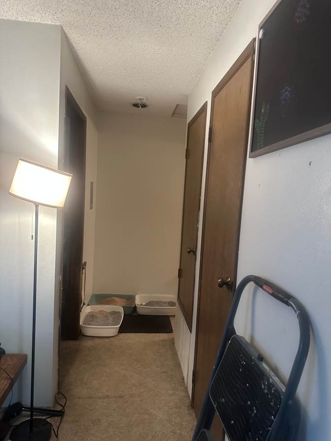 Selah Bennett's room