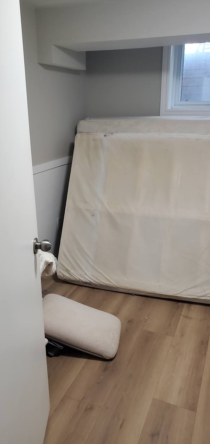 Nicolas Mikhaili's room