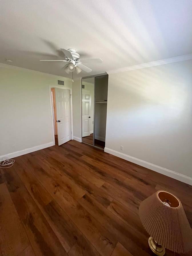Thomas Ngo's room