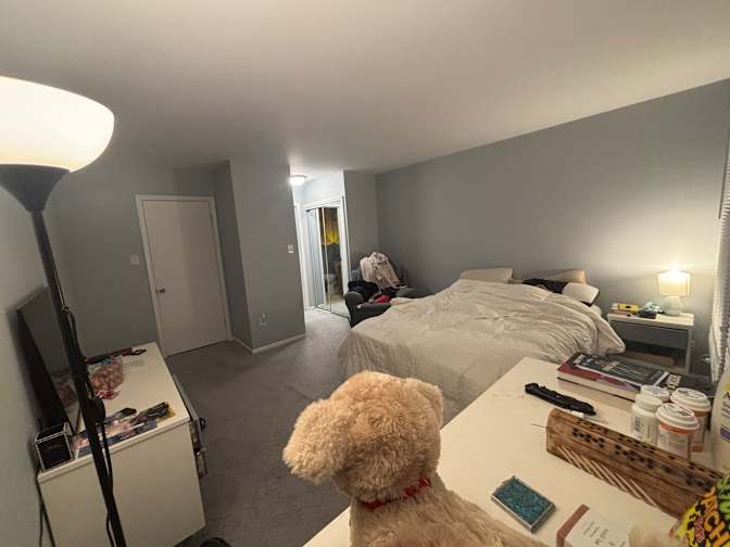 Shakira's room