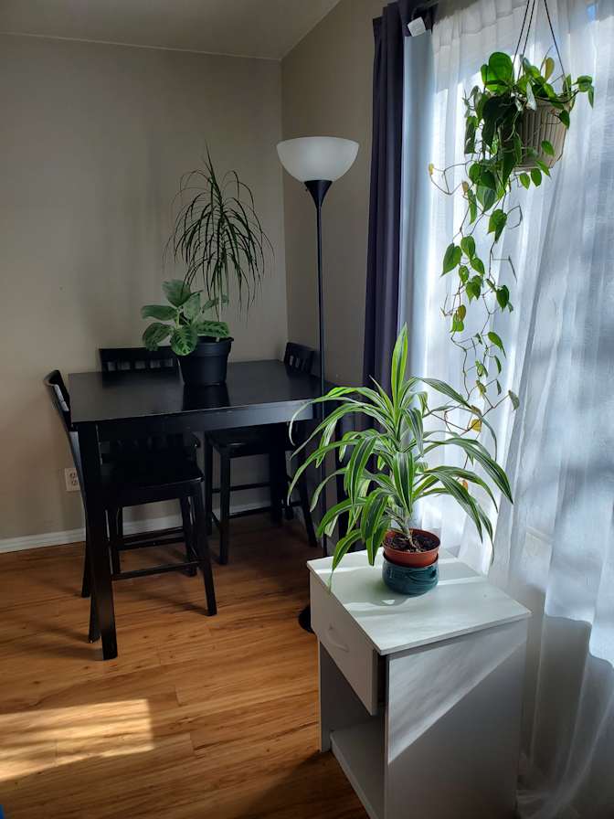 Cindi's room