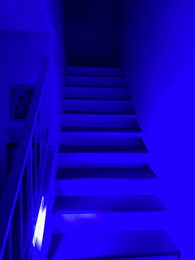 Kate's room