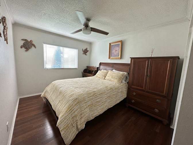 Anna's room