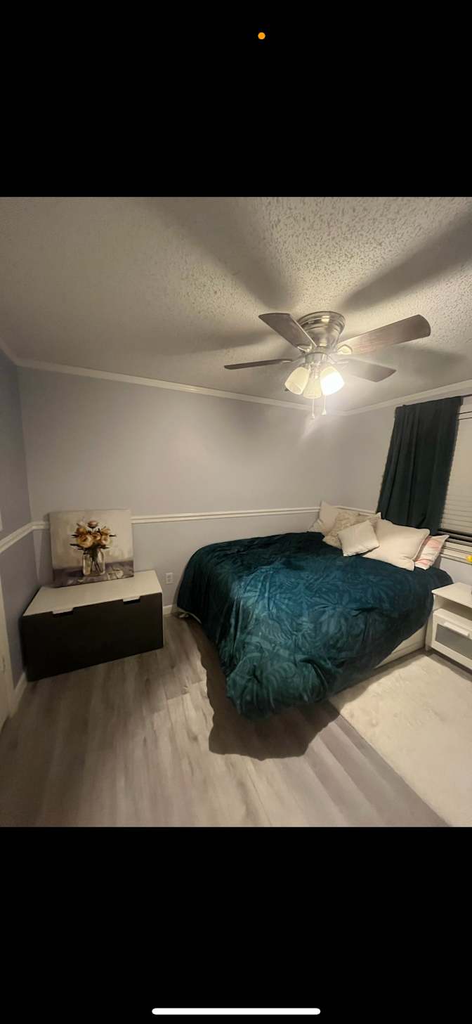 Desislava's room