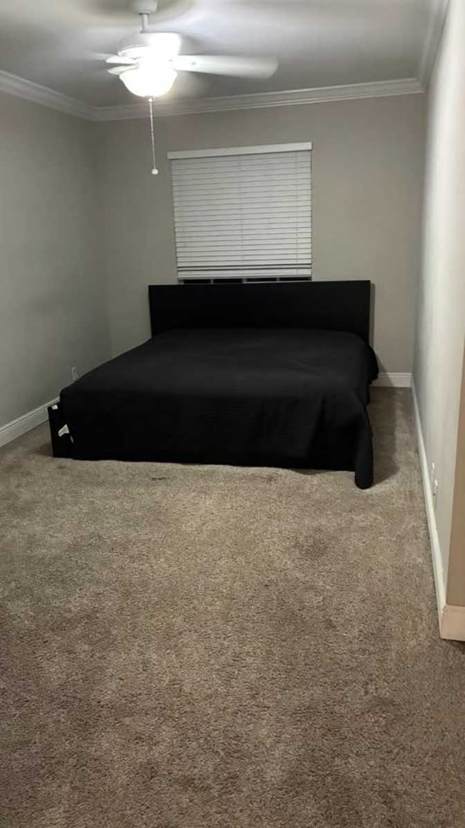 N's room