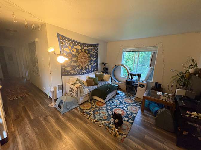 Toben's room