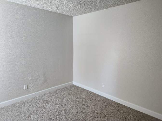Pandora's room