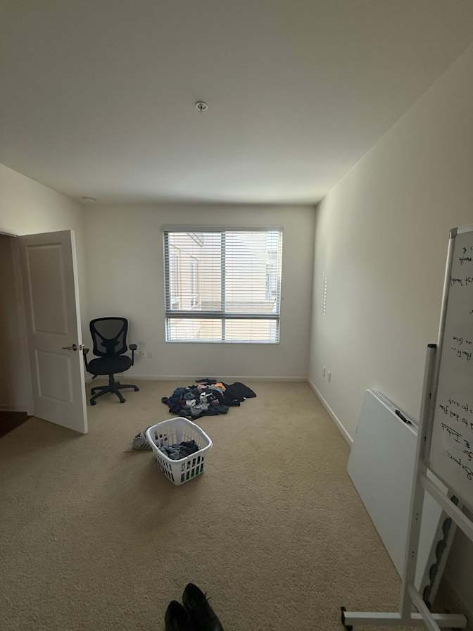 James Sonderegger's room