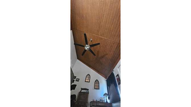 Angela V Woodhull's room