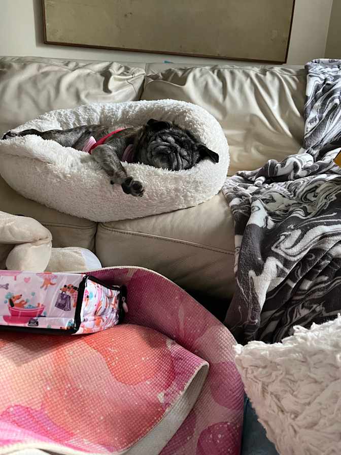 Marina's room