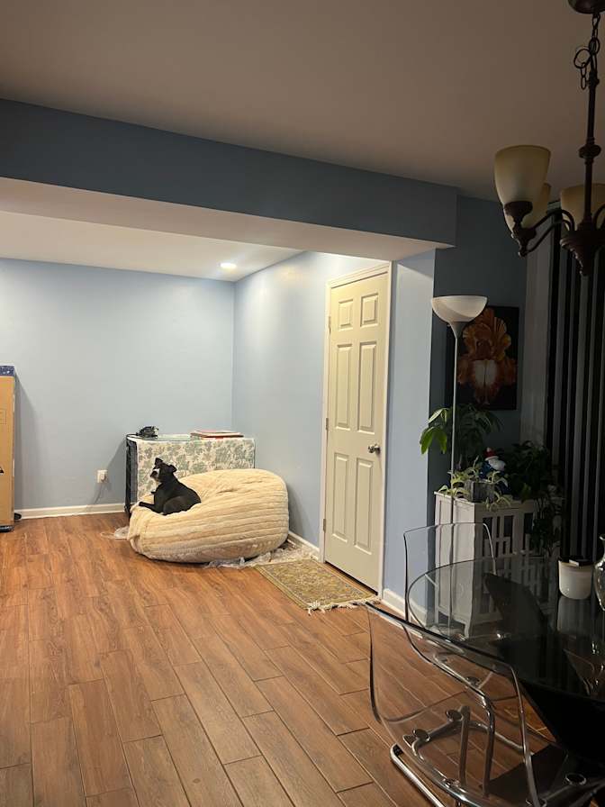 p's room