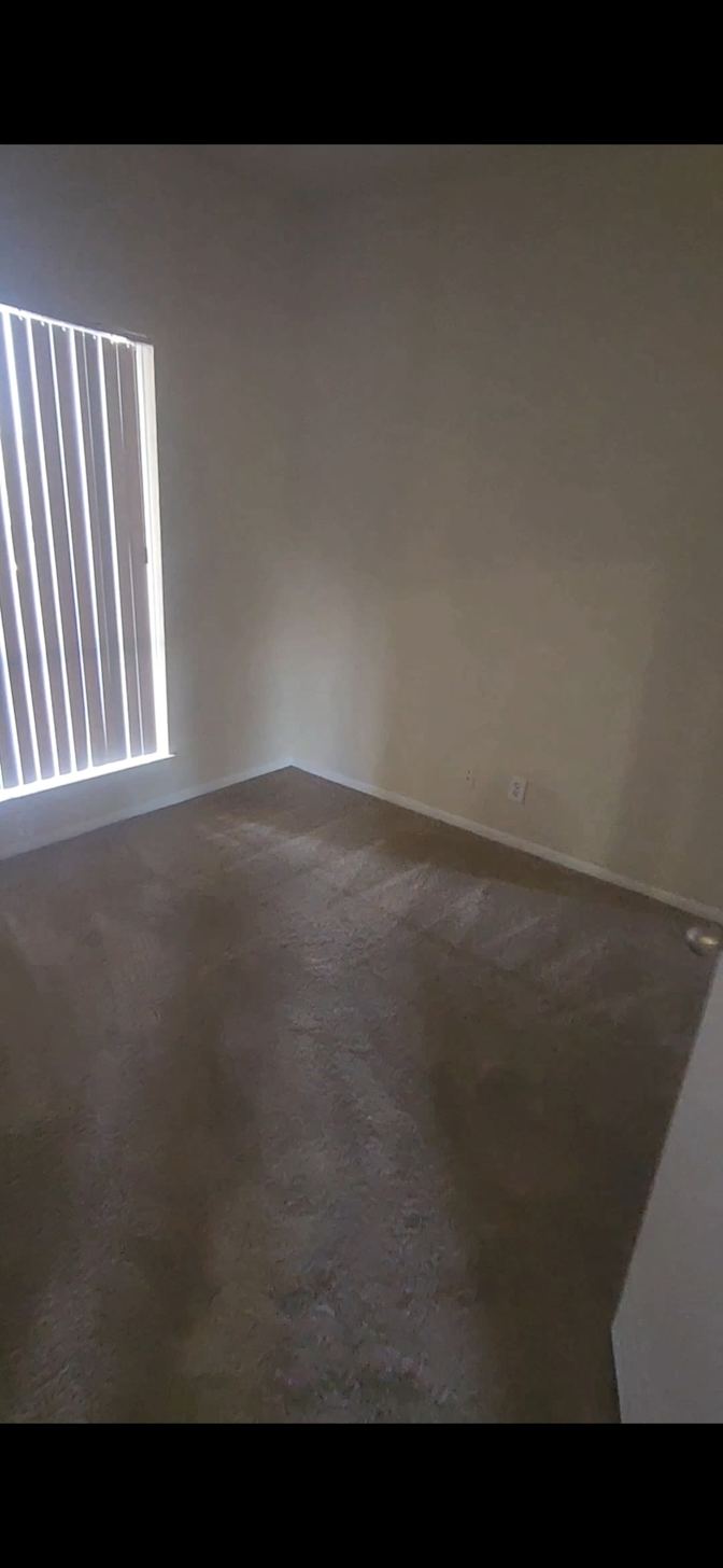 Madgellen's room