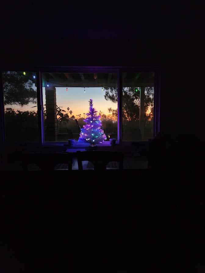 D's room