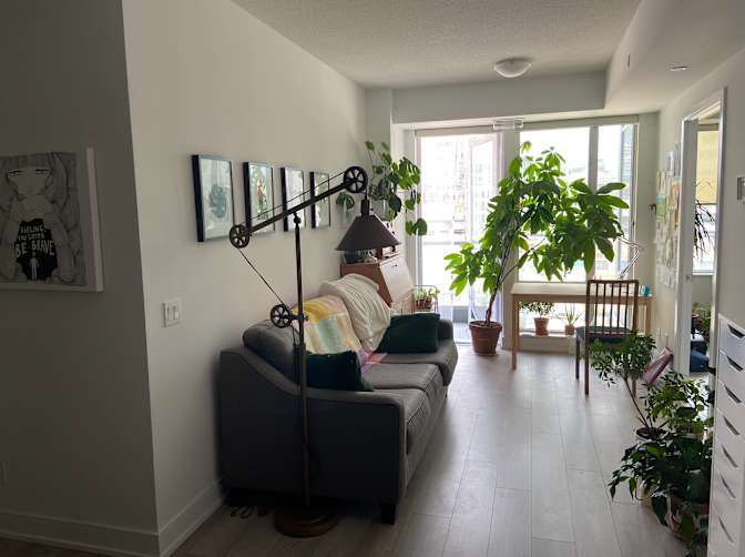 Ann's room