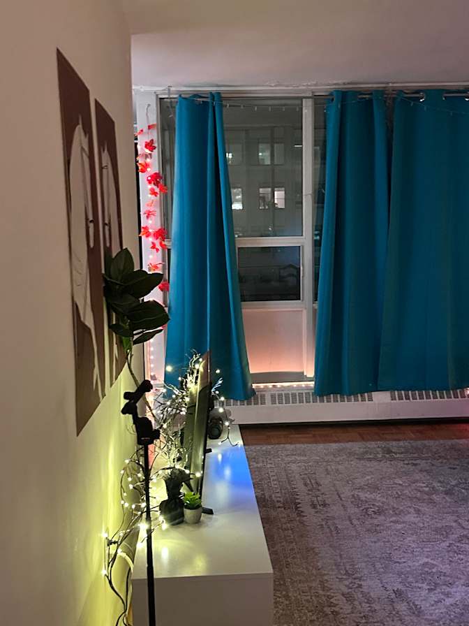 Mishmi's room