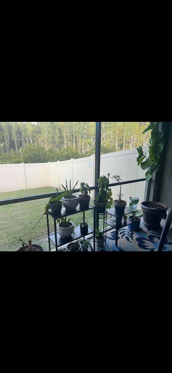 Jen's room