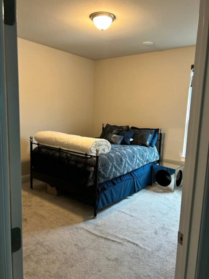 Noshad's room
