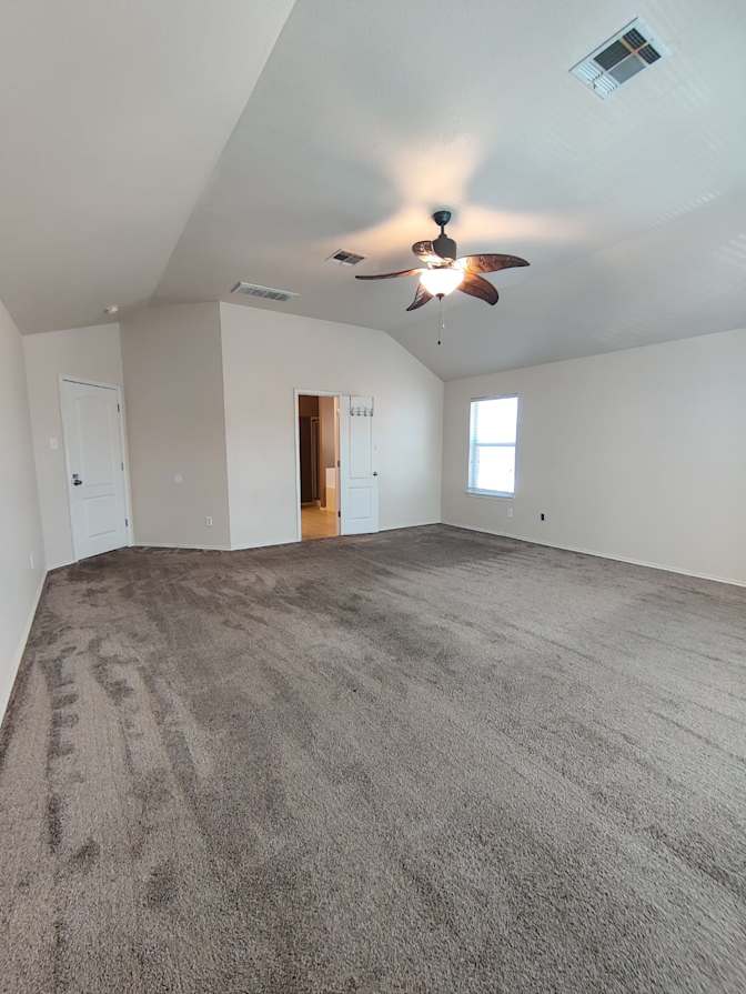 david's room