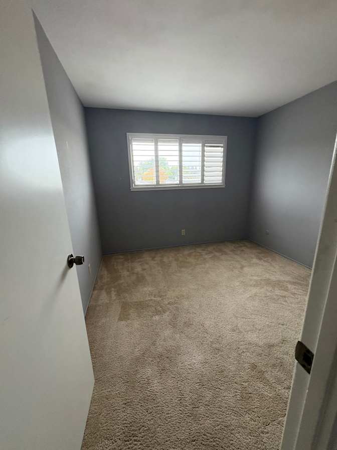 Cintia's room