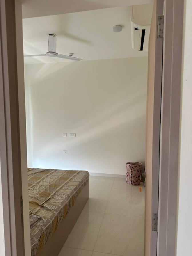 Harry Patel's room