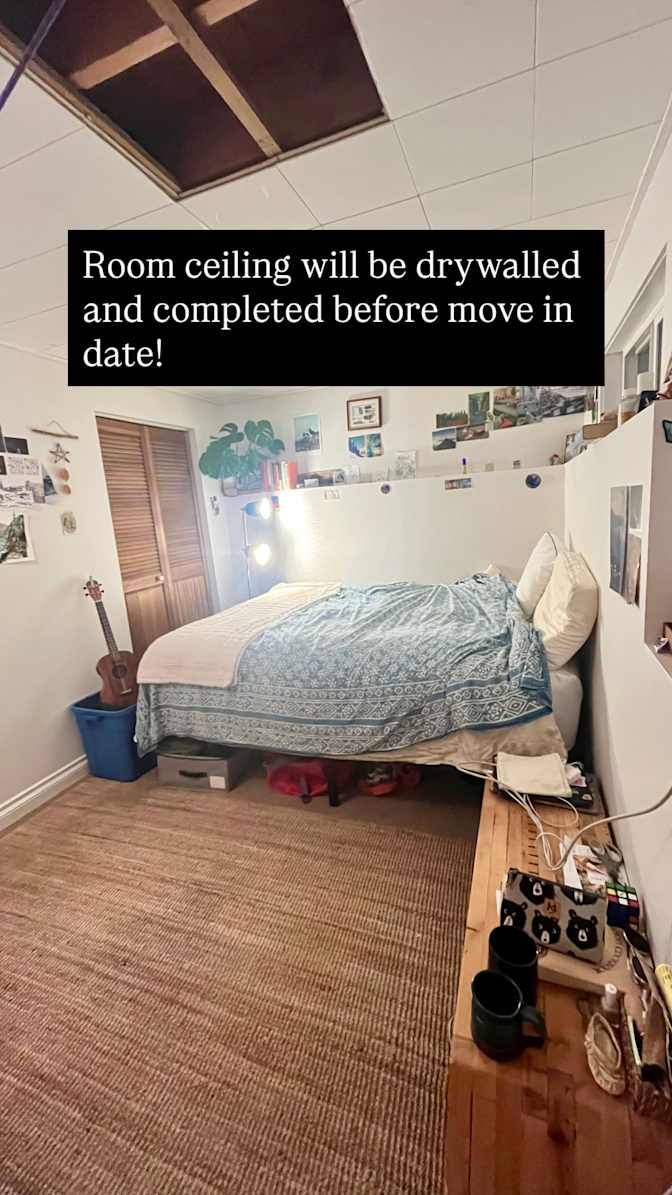 Brie's room
