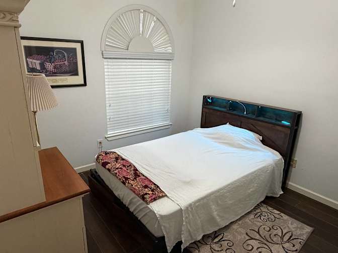 Mehdi's room