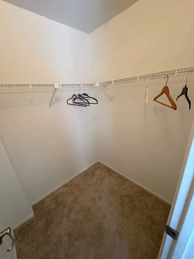 Jill's room