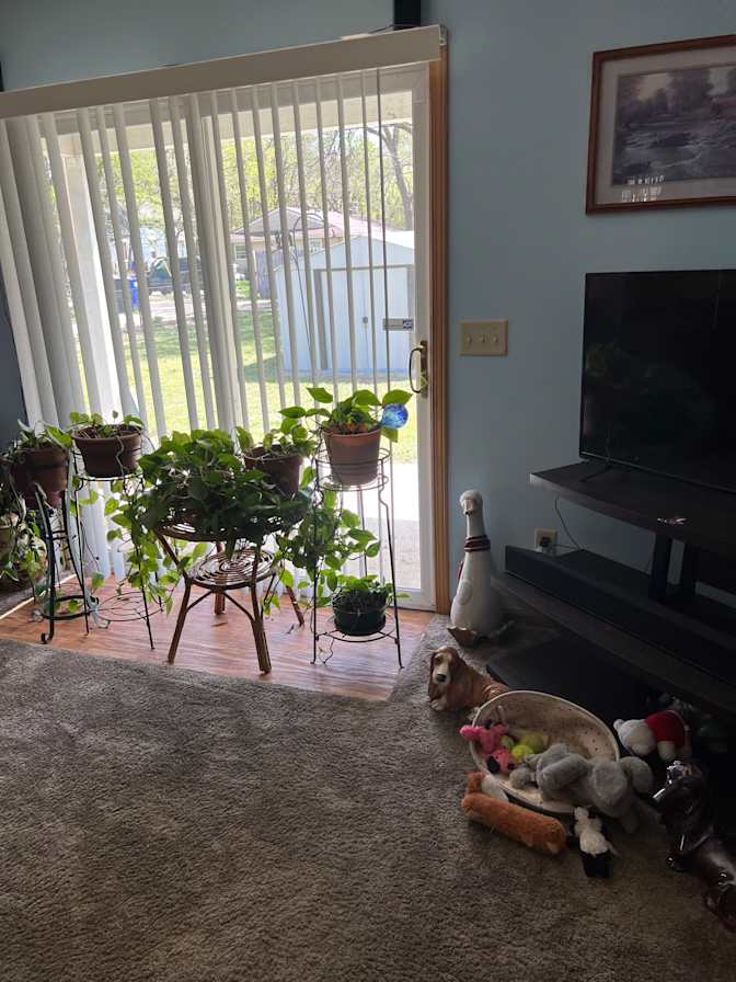 Karen's room