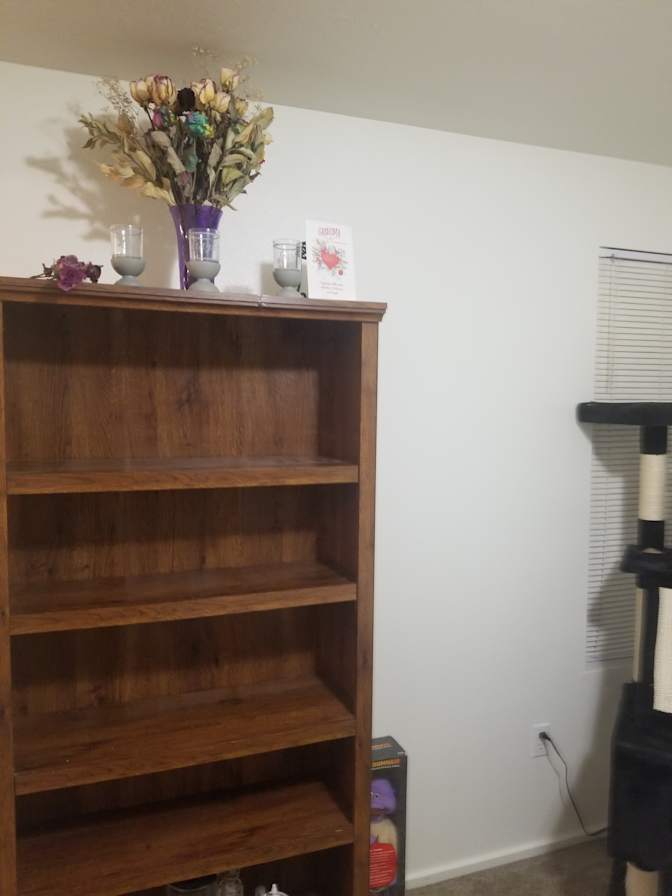Linda's room