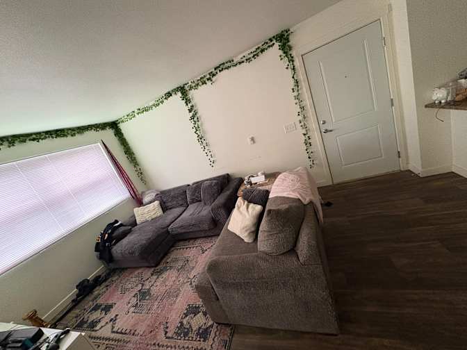 Bri's room