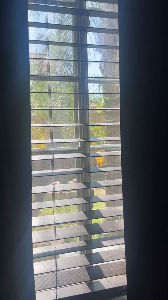 Jp Monroe's room