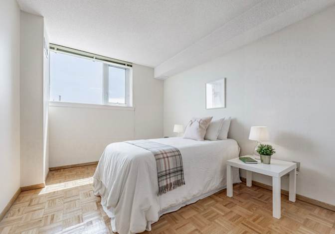 Cozy Spacious Room in Two Bedroom Condo Steps from Humber River's room