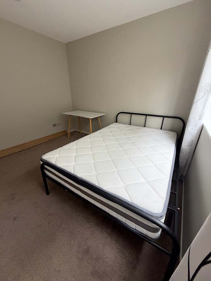 Snowy's room