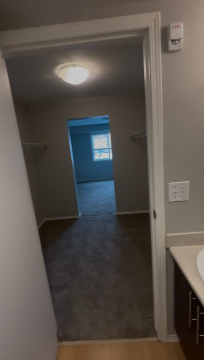 daniel's room