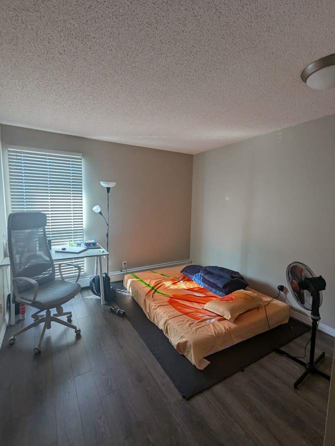 Abdemoniem Abomosalam's room