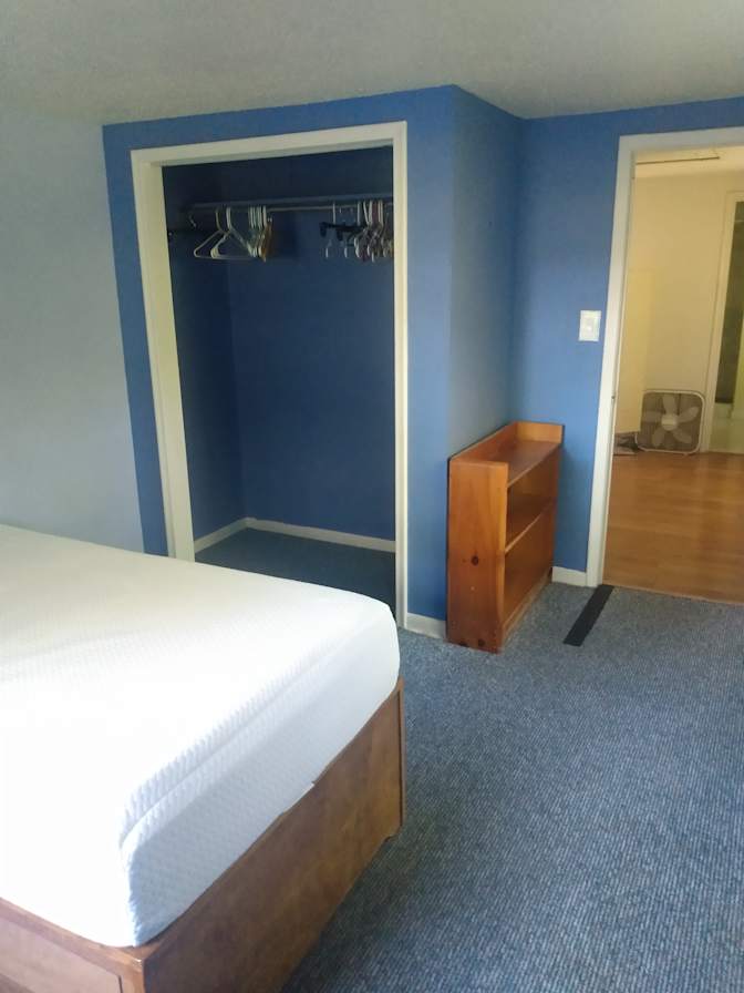 Wolf's room