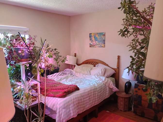 Joao's room
