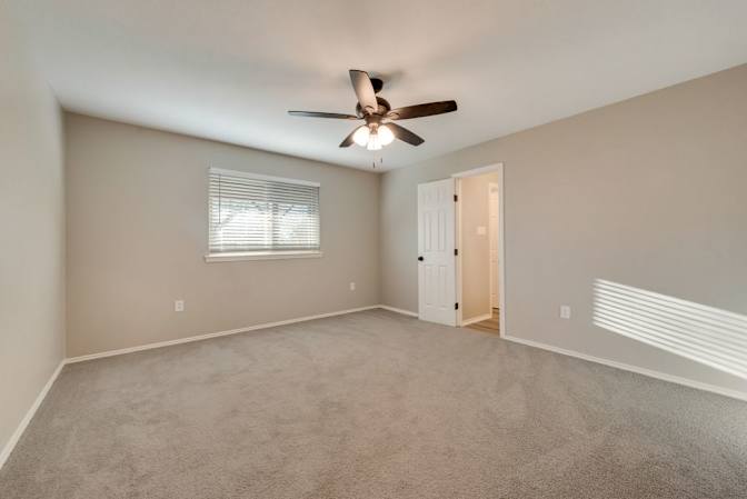 Shane's room