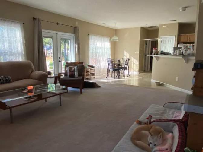 Laura's room