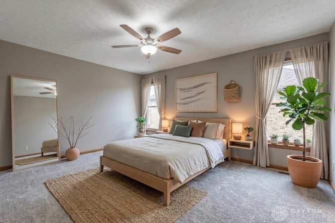 Shawn's room