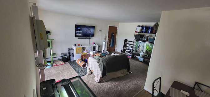 Stephen John's room