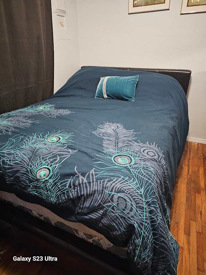 shannon's room